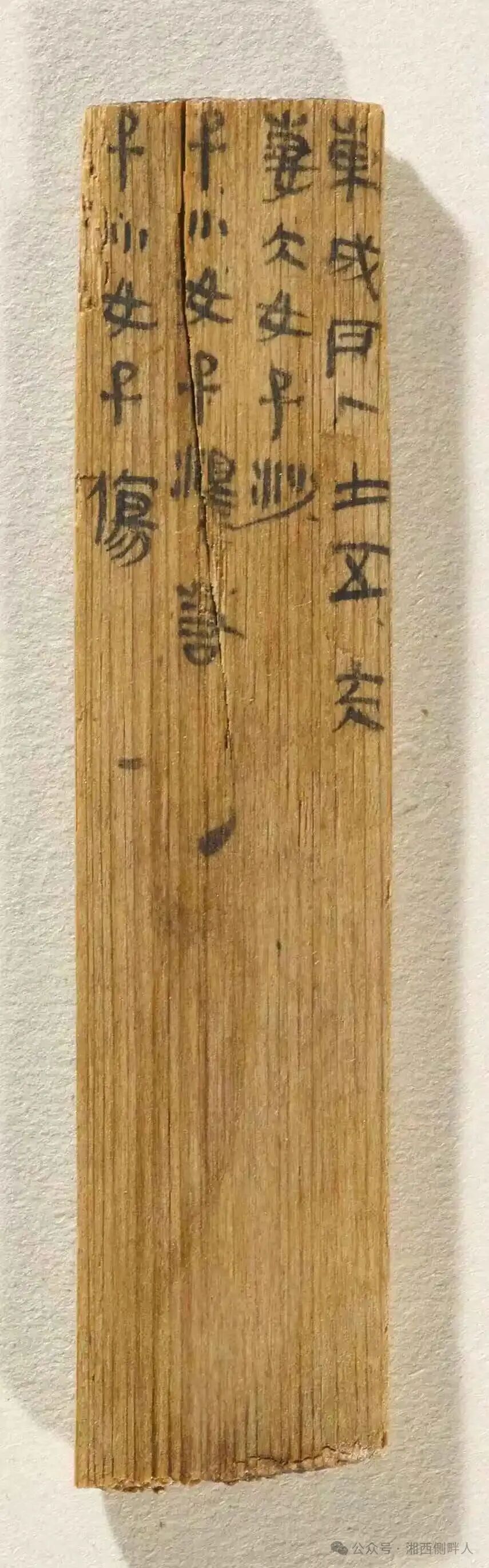 一枚户籍木牍，照见一户人家，也定住一个帝国